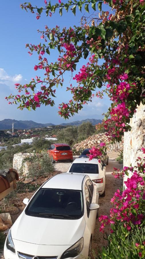 Istlada Tas Ev Apart - Kekova View Kapakli Экстерьер фото